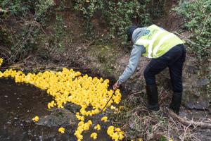 Catching ducks in 2025